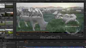 The Foundry NUKE 10.0v4 download free